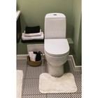 Набор ковриков для ванной и туалета Доляна «Пушистик», 2 шт, 40×50 см, 50×80 см, цвет белый - Фото 8