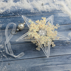 Ёлочная игрушка «Зимнее волшебство. Полярная звезда» пластик, d=11.5 см, прозрачный - Фото 2