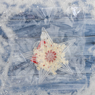 Ёлочная игрушка «Зимнее волшебство. Полярная звезда» пластик, d=11.5 см, прозрачный - Фото 4