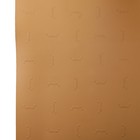 Профилактика Vibram, 58 × 92 × 0,1 см, бежевая - Фото 1