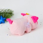 Мягкая игрушка «Хрюша розовый хвостик» - Фото 2