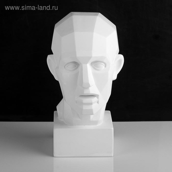 Гипсовая фигура анатомическая «Обрубовка головы по Гудону», 35.5×20.5×24 см - Фото 1