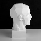 Гипсовая фигура анатомическая: обрубовка головы по Гудону, 35,5 х 20,5 х 24 см - Фото 3