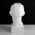 Гипсовая фигура анатомическая: обрубовка головы по Гудону, 35,5 х 20,5 х 24 см - фото 9392764