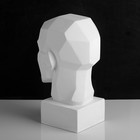 Гипсовая фигура анатомическая: обрубовка головы по Гудону, 35,5 х 20,5 х 24 см - Фото 5