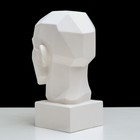 Гипсовая фигура анатомическая: обрубовка головы по Гудону, 35,5 х 20,5 х 24 см - Фото 6