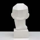 Гипсовая фигура анатомическая: обрубовка головы по Гудону, 35,5 х 20,5 х 24 см - Фото 7