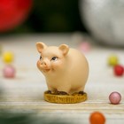 Сувенир полистоун "Денежная хрюшка" МИКС 2,8х4х2 см - Фото 2