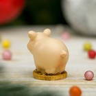 Сувенир полистоун "Денежная хрюшка" МИКС 2,8х4х2 см - Фото 3