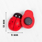 Набор магнитов «Божья коровка», 20 шт., красный - Фото 2