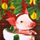 Полотенце "Свинка в носке" 35х60 см,100% хлопок 160 г/м2 - Фото 2