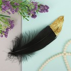 Набор перьев для декора 5 шт, размер 1 шт: 13,5 × 2 см, цвет чёрный - Фото 1
