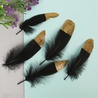 Набор перьев для декора 5 шт, размер 1 шт: 13,5 × 2 см, цвет чёрный - Фото 2