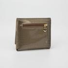 Кошелёк женский, 2 отдела на клапане, цвет золотой - фото 53111879