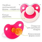 Соска - пустышка латексная классическая «Анюта», от 0 мес., цвет МИКС - Фото 2