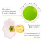 Соска - пустышка классическая, латекс, +0 мес., «Ромашка», цвет МИКС - Фото 3