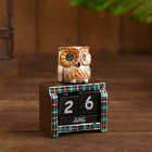 Вечный календарь настольный «Сова у камина», 9.5×4×17 см, дерево, МИКС - Фото 7