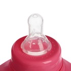 Бутылочка для кормления «Мишка Полли», классическое горло, приталенная, с ручками, 150 мл., от 0 мес., цвет розовый - Фото 3