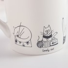 Кружка Доляна «День кота», 380 мл, фарфор, белая - Фото 6