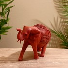 Сувенир дерево "Слон резной" 20х8х16 см - фото 806913811