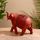 Сувенир дерево "Слон резной" 20х8х16 см - фото 806913812