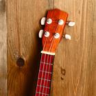 Гитара-укулеле "Цветы" 55х20х6 см - Фото 11