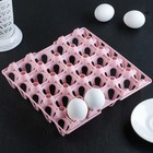Лоток для хранения яиц 20 ячеек 24,5х5 см, цвета МИКС - Фото 3