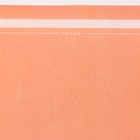 Пергамент для цветов «Нежность», 50 х 70 см (10 шт) - фото 804058563