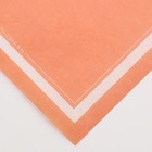 Пергамент для цветов «Нежность», 50 х 70 см (10 шт) - фото 804058564