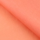 Пергамент для цветов «Нежность», 50 х 70 см (10 шт) - фото 804058562