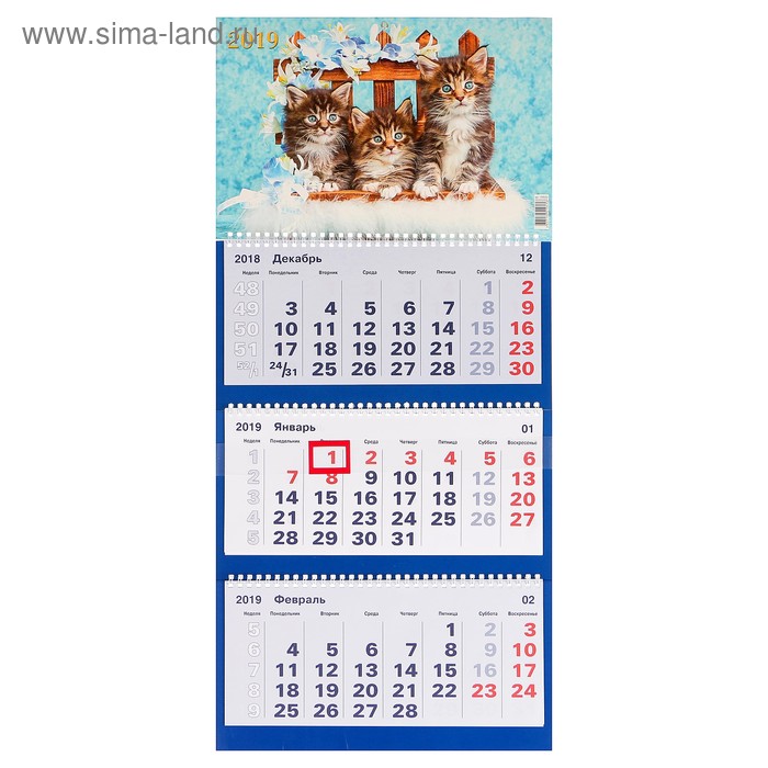 Календарь квартальный, трио "Кошки - 2" 2019 год, 31х69см - Фото 1