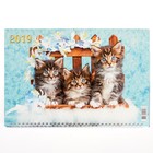 Календарь квартальный, трио "Кошки - 2" 2019 год, 31х69см - Фото 2