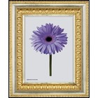 Рама для картин (зеркал) 30 х 40 х 4.5 см, пластиковая, Charlotta золото - фото 42711042