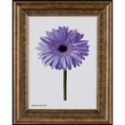 Рама для картин (зеркал) 40 х 50 х 3.2 см, пластиковая, Daria, старое золото - фото 24280496