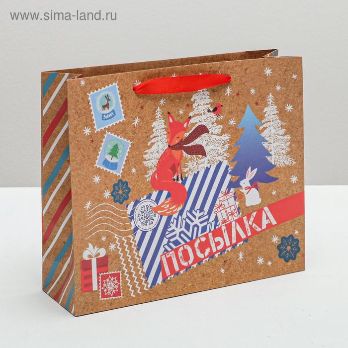 Пакет крафтовый горизонтальный «Зимняя посылка», 27 × 23 × 8 см - Фото 1