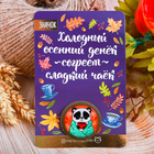 Брошь «Панда», 8 х 12 см - Фото 2
