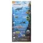 Энциклопедия 4D в дополненной реальности «В глубинах океана» - Фото 5