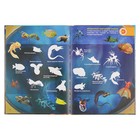 Энциклопедия 4D в дополненной реальности «В глубинах океана» - Фото 6