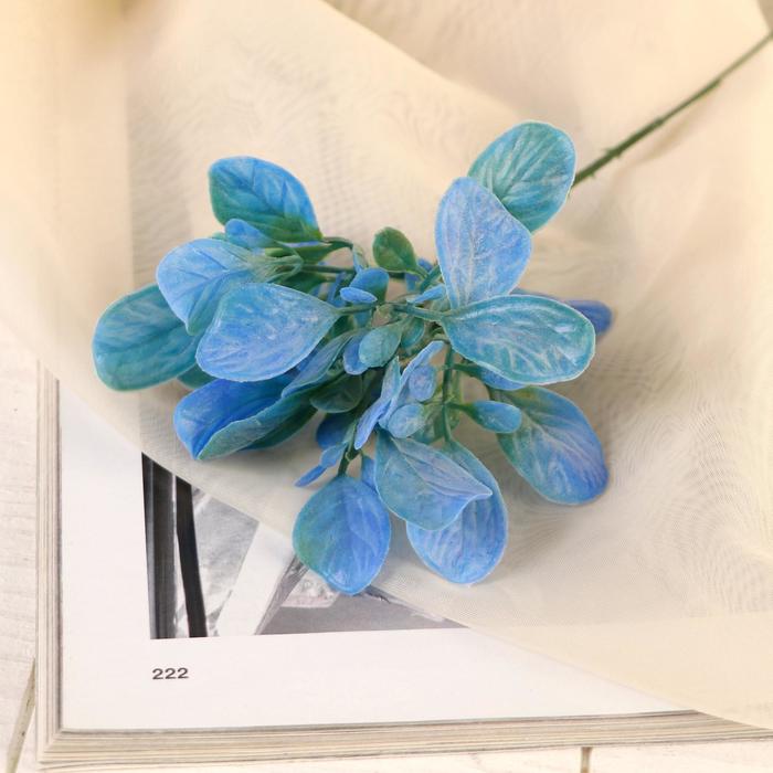 Букет «Велуна», 15 см (цена за шт.) - Фото 1