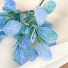 Букет «Велуна», 15 см (цена за шт.) - Фото 2