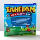 Магнитная игра «Танграм. Мир вокруг нас» - Фото 7