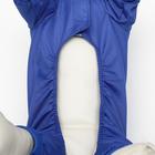 Комбинезон дляживотных, без подклада, 2XL (ДС 34-36, ОШ 34-36, ОГ 44-48 см), синий - Фото 6