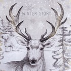 Постельное бельё Этель Winter story, евро, 200 × 215 см, 220 × 240 см, 70 × 70 см, 2 шт., поплин - Фото 6