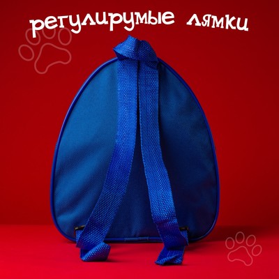 Рюкзак детский, 23×21×10 см, Щенячий патруль