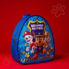 Рюкзак детский, 23×21×10 см, Щенячий патруль - Фото 7