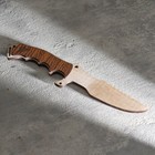 Сувенирное оружие "Нож охотничий", 24,5 см - фото 319698632