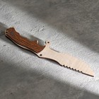 Сувенирное оружие "Нож охотничий", 24,5 см - Фото 2