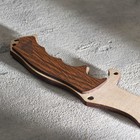Сувенирное оружие "Нож охотничий", 24,5 см - Фото 3