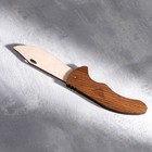 Сувенирное оружие "Нож складной", 11,5х20 см - фото 3820856