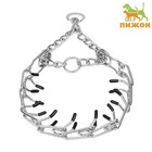 Ошейник - полуудавка строгий с защитными колпачками, 4 мм × 60 см - Фото 1